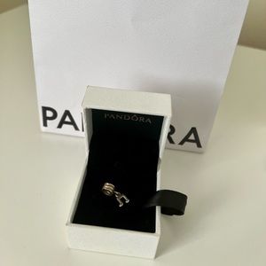 Music note retired PANDORA charm
